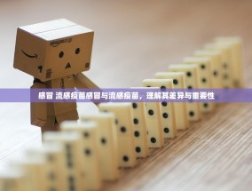 感冒 流感疫苗感冒与流感疫苗，理解其差异与重要性