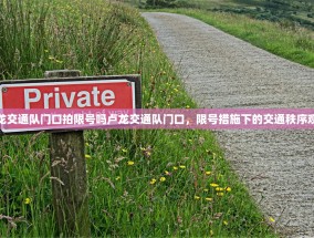 卢龙交通队门口拍限号吗卢龙交通队门口，限号措施下的交通秩序观察