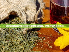 甲型流感病毒吃什么药最好甲型流感病毒，药物治疗的最佳选择