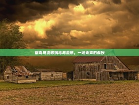 病毒与流感病毒与流感，一场无声的战役