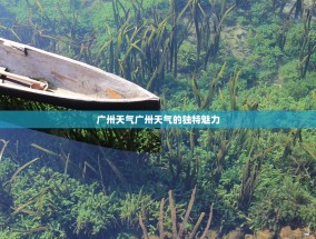 广卅天气广卅天气的独特魅力