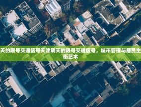 天津明天的限号交通信号天津明天的限号交通信号，城市管理与居民生活的平衡艺术