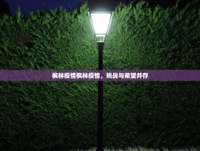 枫林疫情枫林疫情，挑战与希望并存