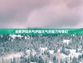 合肥庐阳天气庐阳天气的魅力与变幻
