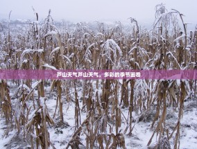 芦山天气芦山天气，多彩的季节画卷