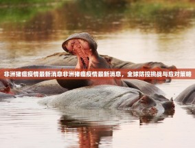 非洲猪瘟疫情最新消息非洲猪瘟疫情最新消息，全球防控挑战与应对策略