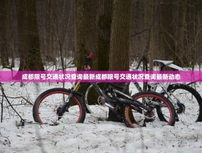 成都限号交通状况查询最新成都限号交通状况查询最新动态