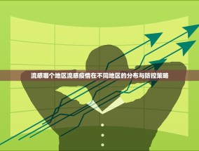 流感哪个地区流感疫情在不同地区的分布与防控策略
