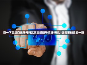 查一下武汉交通限号吗武汉交通限号情况详解，你需要知道的一切