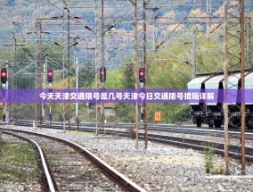 今天天津交通限号是几号天津今日交通限号措施详解