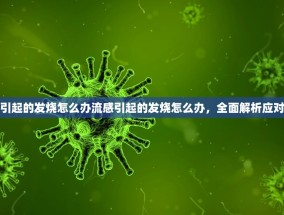 流感引起的发烧怎么办流感引起的发烧怎么办，全面解析应对之策
