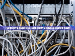 上海龙洲苑交通通限号吗上海龙洲苑的交通状况与通限号措施解析