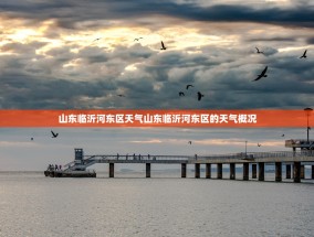 山东临沂河东区天气山东临沂河东区的天气概况