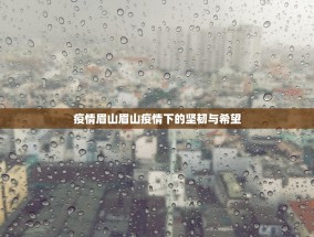 疫情眉山眉山疫情下的坚韧与希望