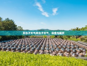 双台子天气双台子天气，探索与解析