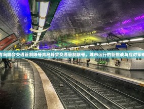 青岛峰会交通管制限号青岛峰会交通管制限号，城市运行的新挑战与应对策略