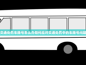 交通处罚车限号怎么办如何应对交通处罚中的车限号问题