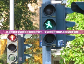 限号不能走交通信号灯吗限号政策下，交通信号灯的角色与出行策略调整
