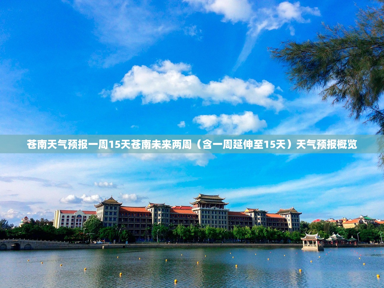 苍南天气预报一周15天苍南未来两周（含一周延伸至15天）天气预报概览  第2张