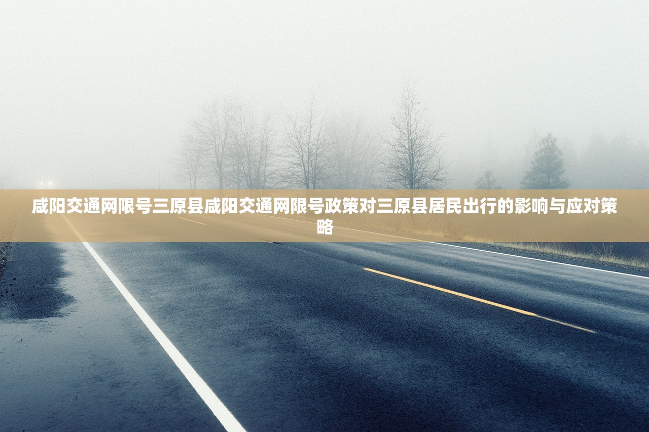 咸阳交通网限号三原县咸阳交通网限号政策对三原县居民出行的影响与应对策略  第2张