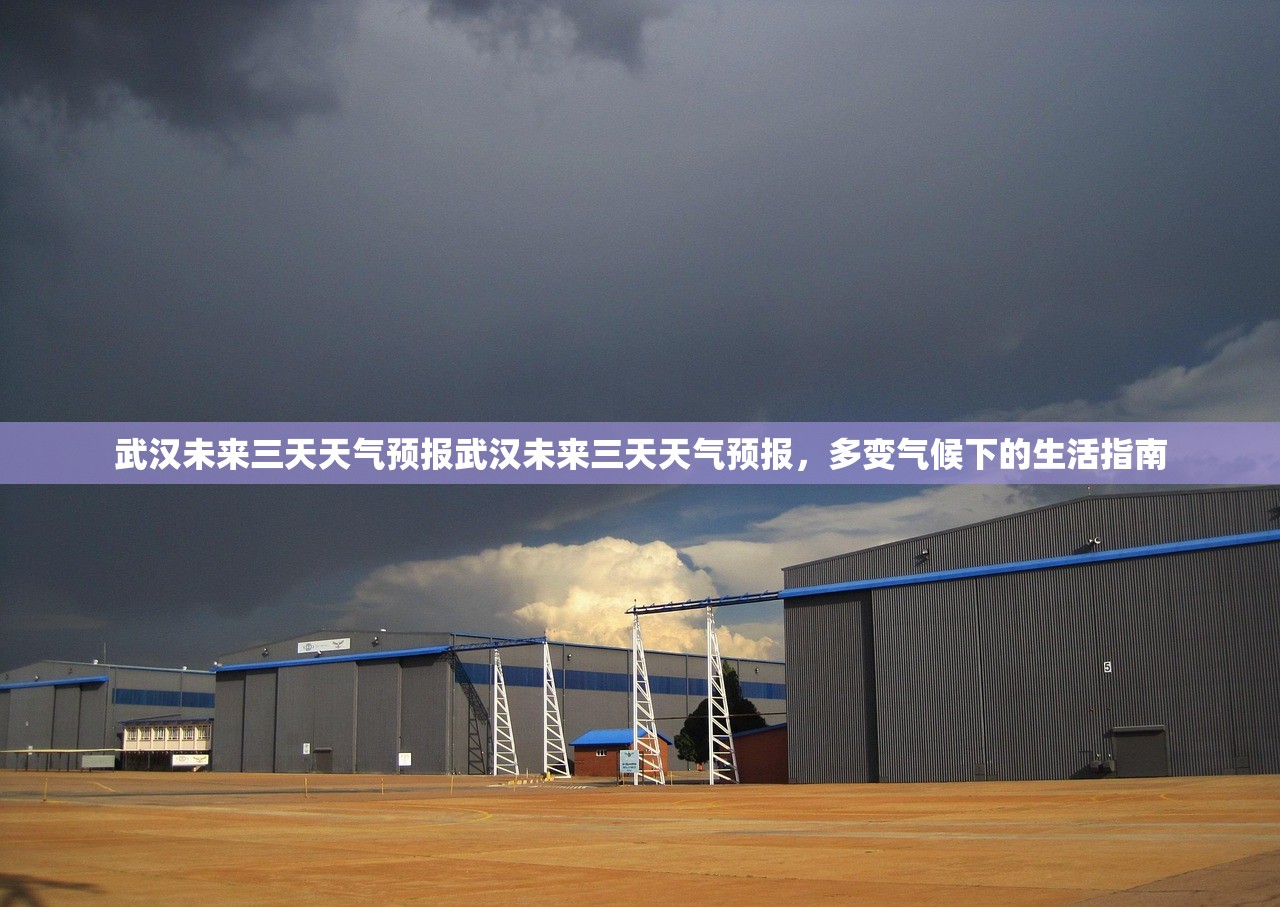 武汉未来三天天气预报武汉未来三天天气预报，多变气候下的生活指南  第2张