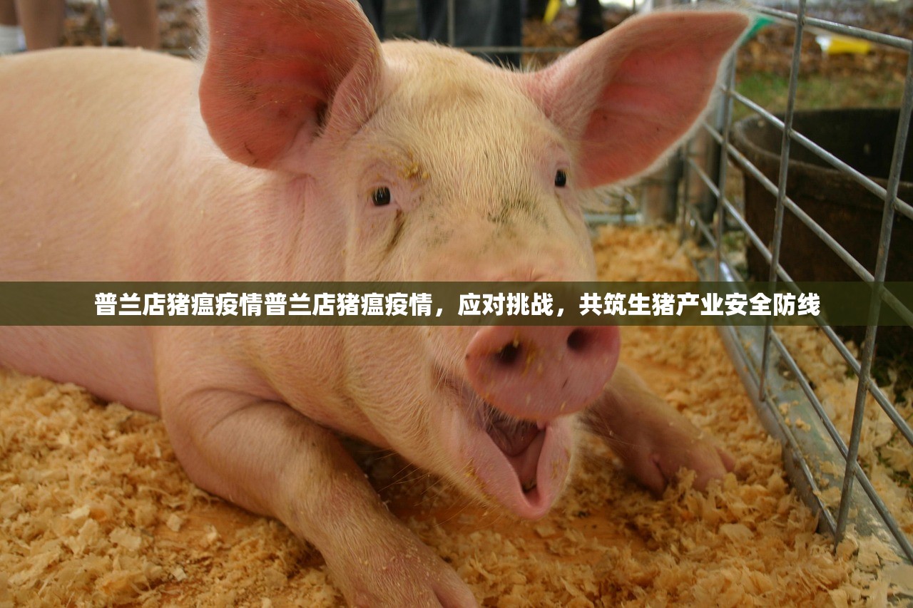 普兰店猪瘟疫情普兰店猪瘟疫情，应对挑战，共筑生猪产业安全防线  第1张