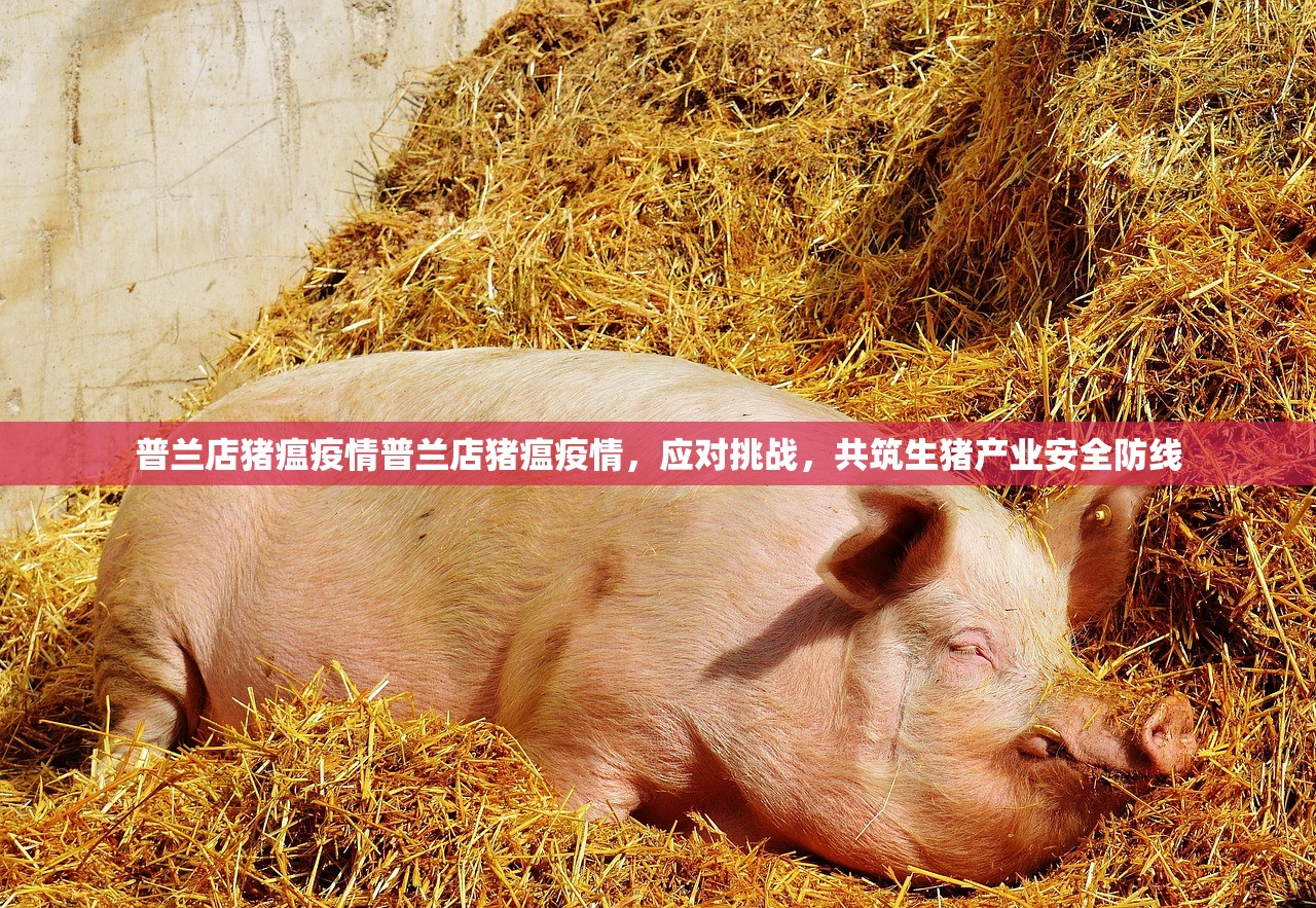 普兰店猪瘟疫情普兰店猪瘟疫情，应对挑战，共筑生猪产业安全防线  第2张
