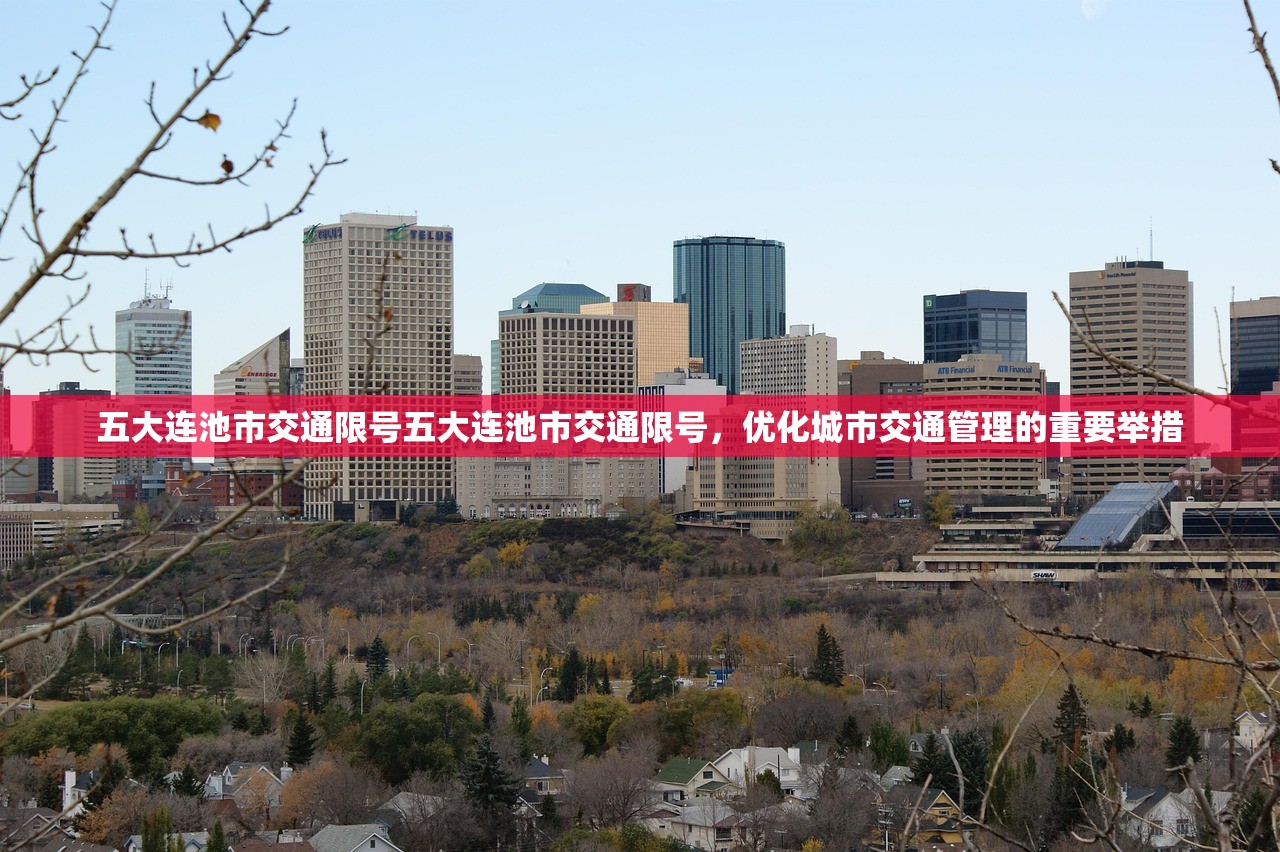 五大连池市交通限号五大连池市交通限号，优化城市交通管理的重要举措  第2张