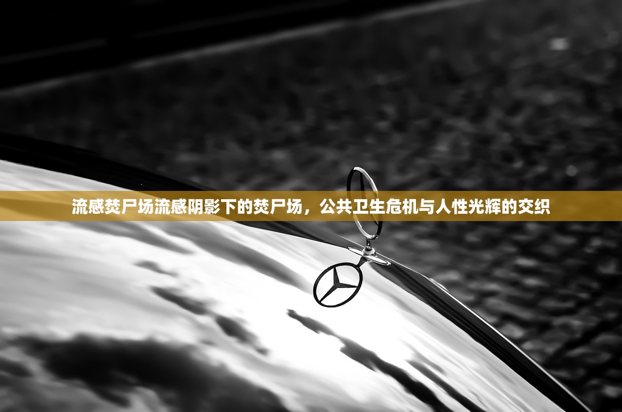 流感焚尸场流感阴影下的焚尸场，公共卫生危机与人性光辉的交织  第1张