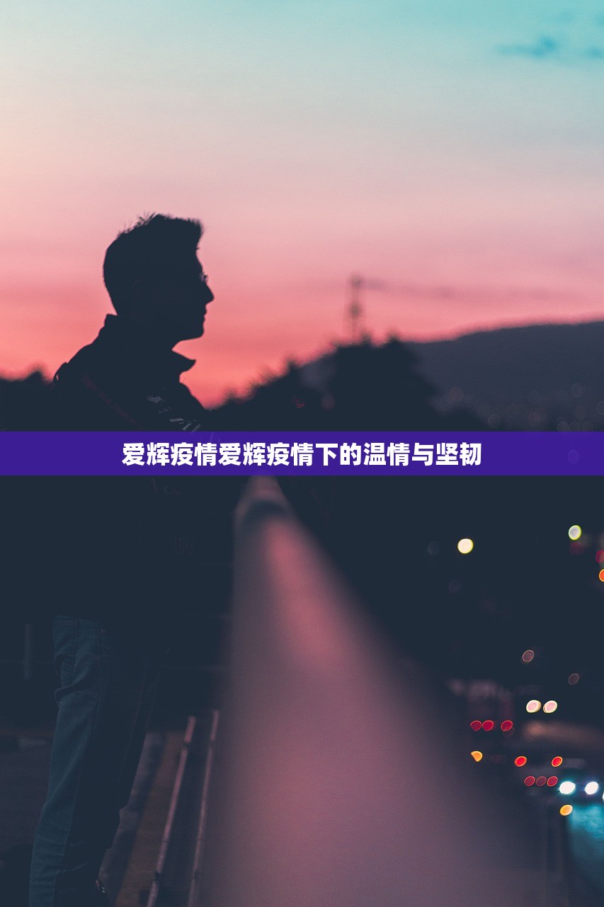爱辉疫情爱辉疫情下的温情与坚韧  第1张