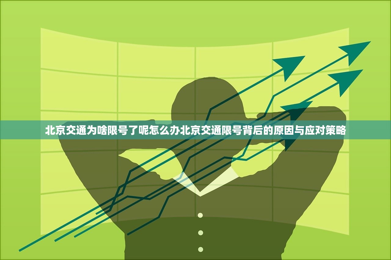 北京交通为啥限号了呢怎么办北京交通限号背后的原因与应对策略  第2张