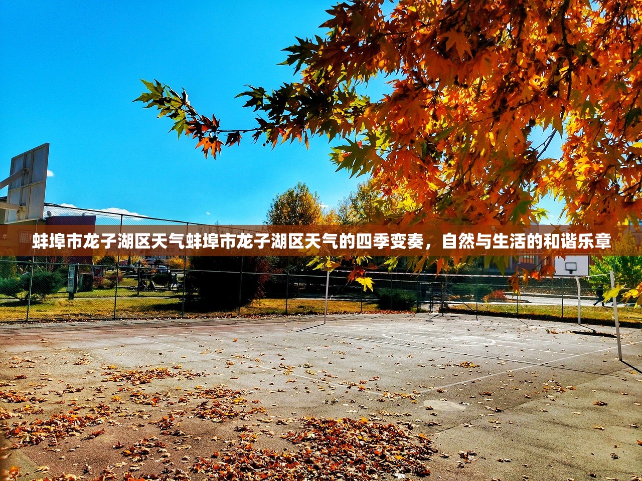 蚌埠市龙子湖区天气蚌埠市龙子湖区天气的四季变奏，自然与生活的和谐乐章  第1张