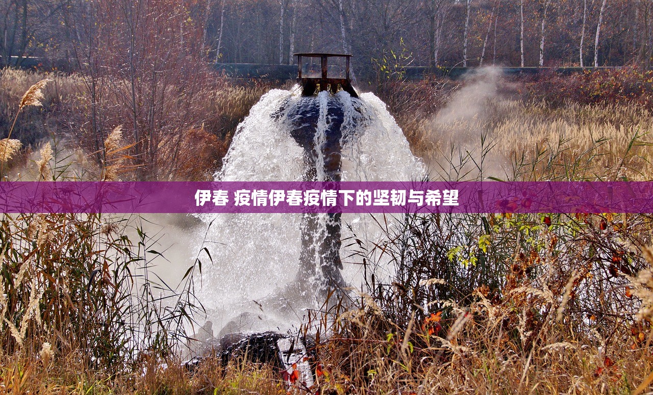 伊春 疫情伊春疫情下的坚韧与希望  第1张