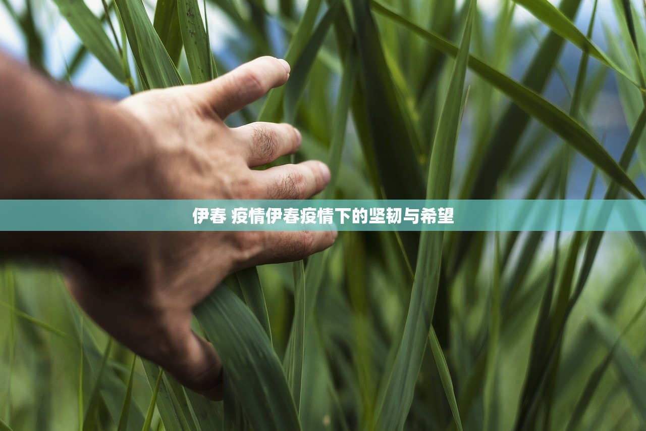 伊春 疫情伊春疫情下的坚韧与希望  第2张