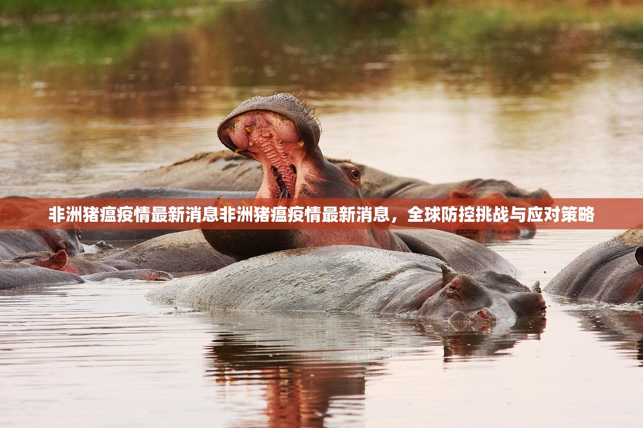 非洲猪瘟疫情最新消息非洲猪瘟疫情最新消息，全球防控挑战与应对策略  第1张