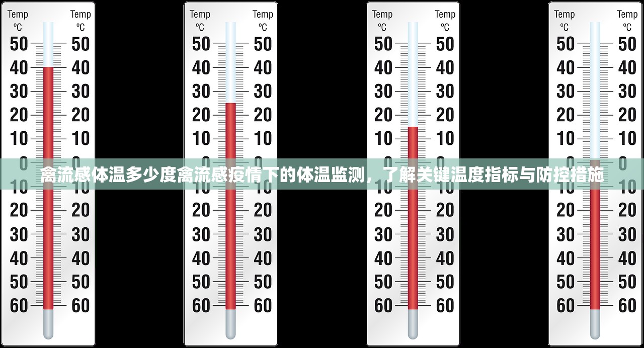 禽流感体温多少度禽流感疫情下的体温监测，了解关键温度指标与防控措施  第1张