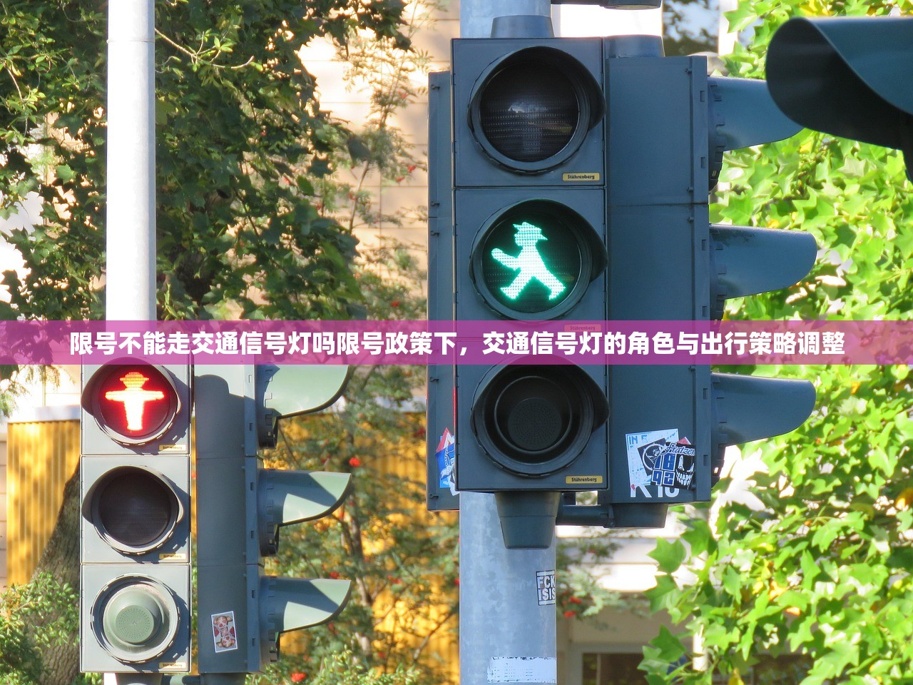 限号不能走交通信号灯吗限号政策下，交通信号灯的角色与出行策略调整  第1张