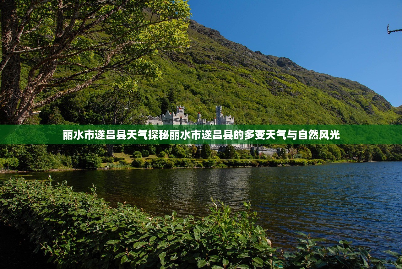 丽水市遂昌县天气探秘丽水市遂昌县的多变天气与自然风光  第2张