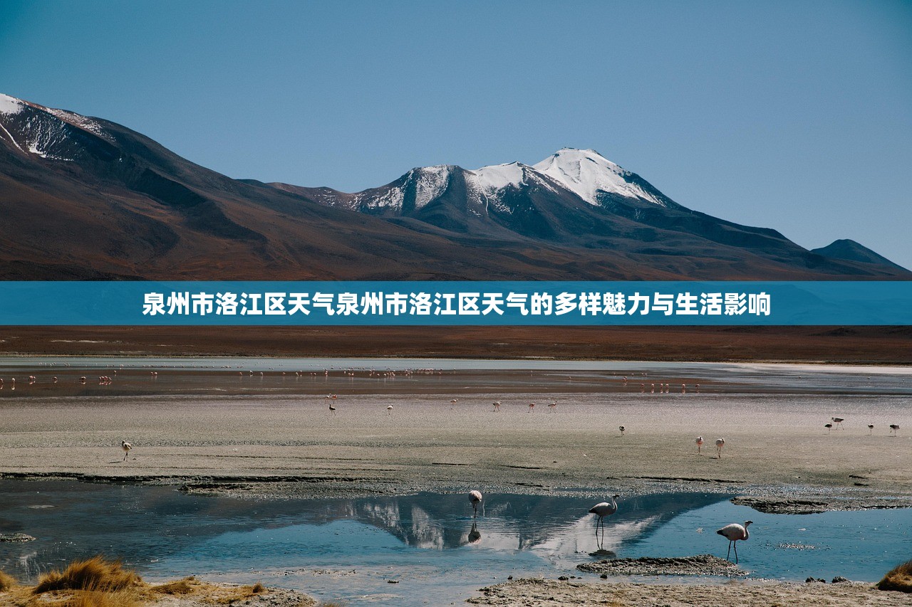 泉州市洛江区天气泉州市洛江区天气的多样魅力与生活影响  第1张