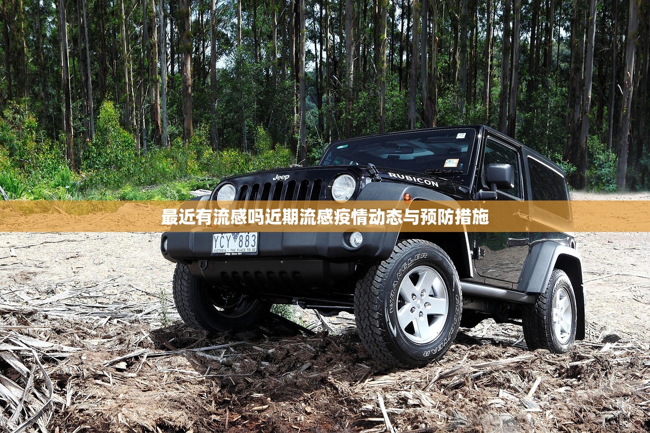 最近有流感吗近期流感疫情动态与预防措施  第2张