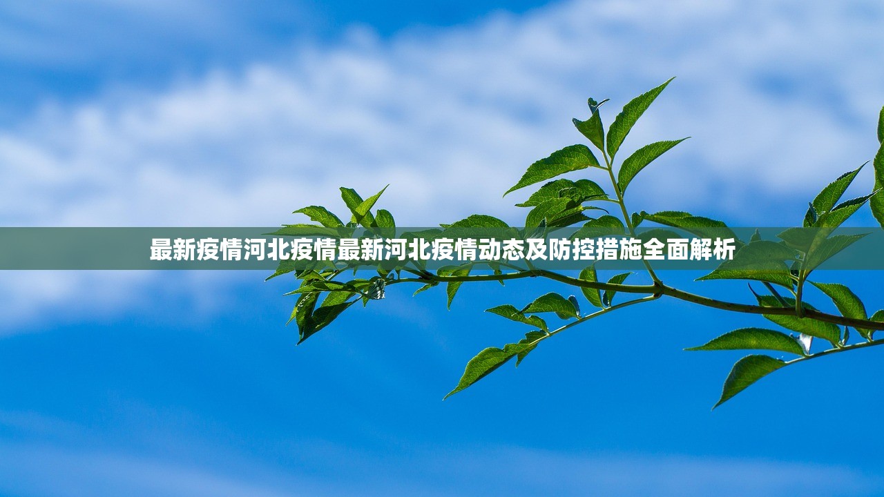 最新疫情河北疫情最新河北疫情动态及防控措施全面解析  第2张
