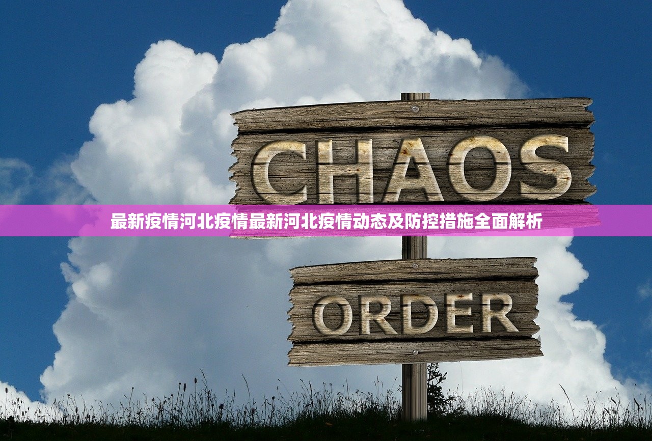 最新疫情河北疫情最新河北疫情动态及防控措施全面解析  第1张