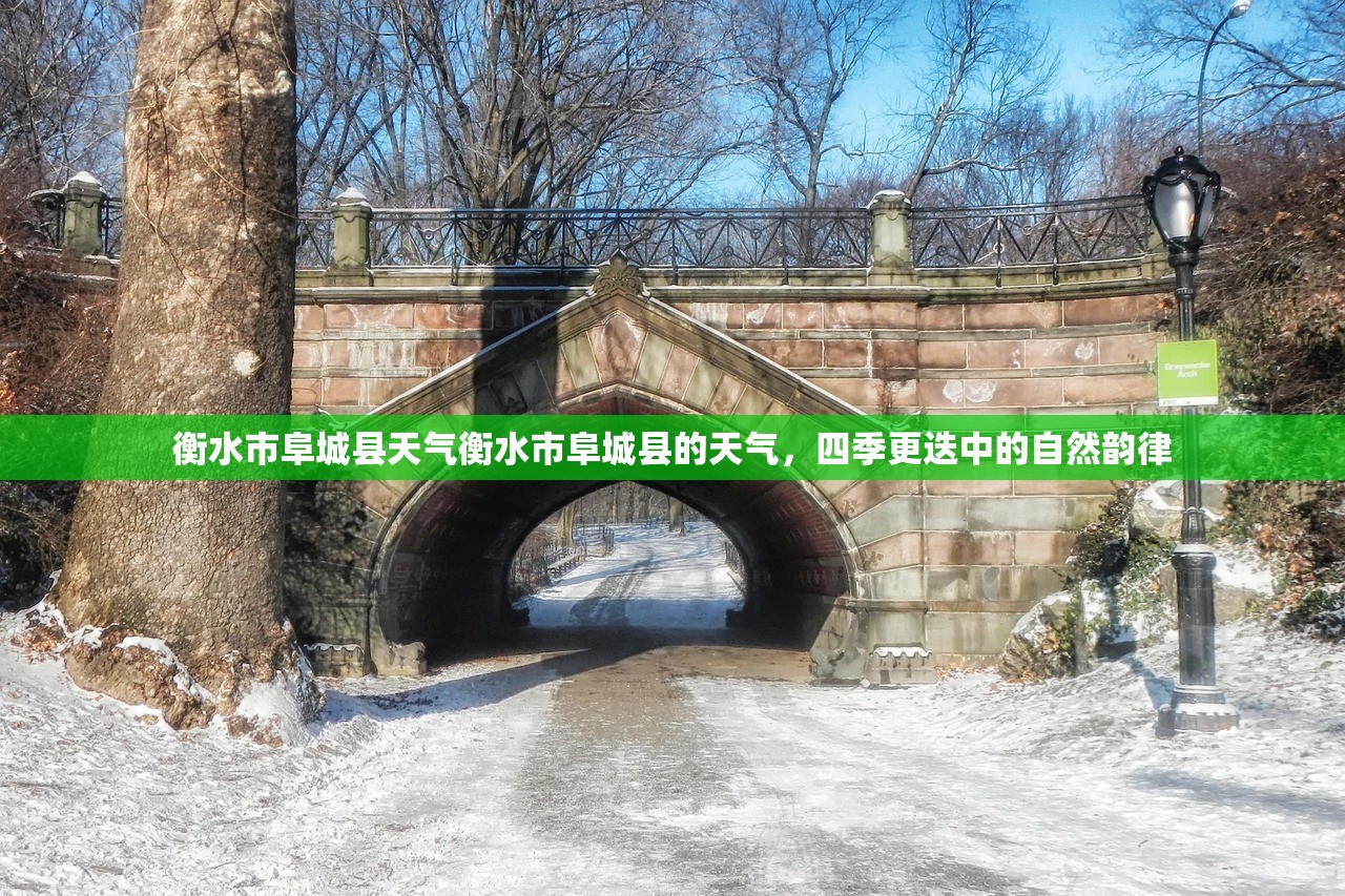 衡水市阜城县天气衡水市阜城县的天气，四季更迭中的自然韵律  第2张