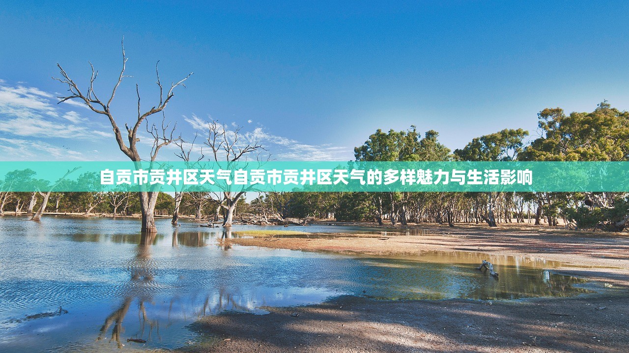 自贡市贡井区天气自贡市贡井区天气的多样魅力与生活影响  第2张