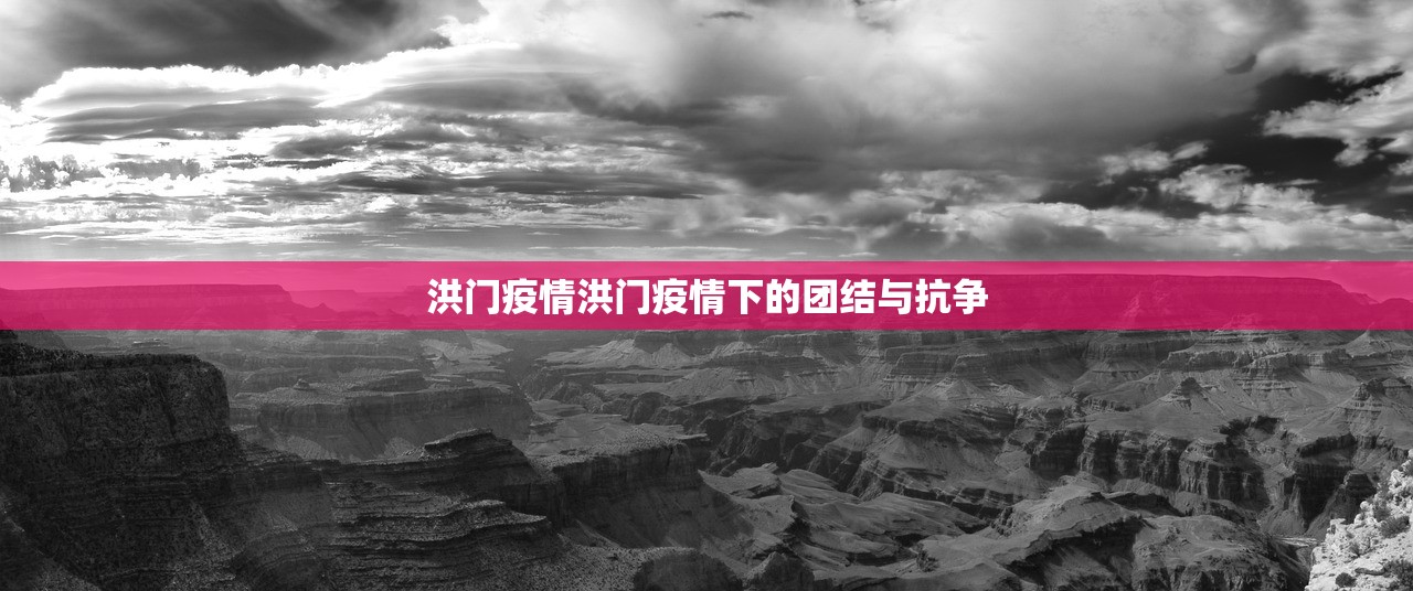 洪门疫情洪门疫情下的团结与抗争  第1张