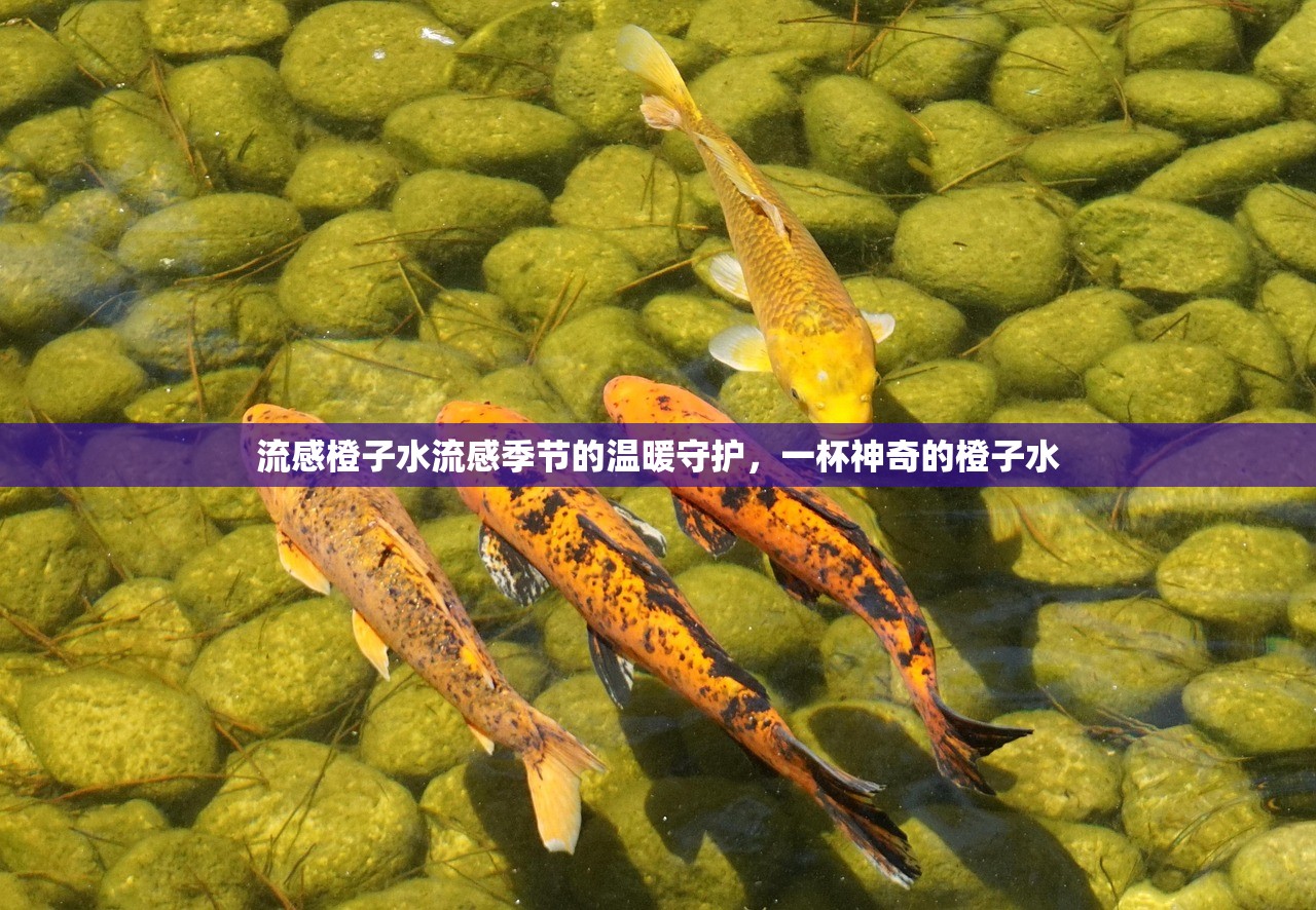 流感橙子水流感季节的温暖守护，一杯神奇的橙子水  第1张
