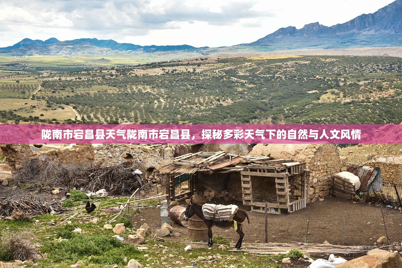 陇南市宕昌县天气陇南市宕昌县，探秘多彩天气下的自然与人文风情  第1张