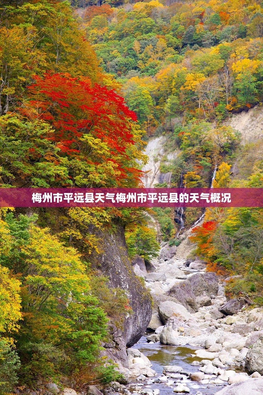 梅州市平远县天气梅州市平远县的天气概况  第1张