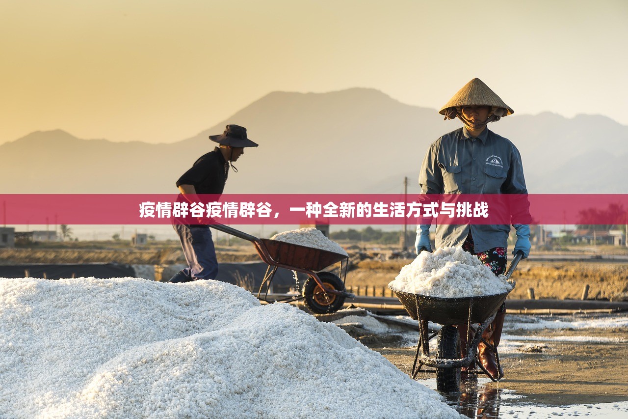 疫情辟谷疫情辟谷，一种全新的生活方式与挑战  第1张
