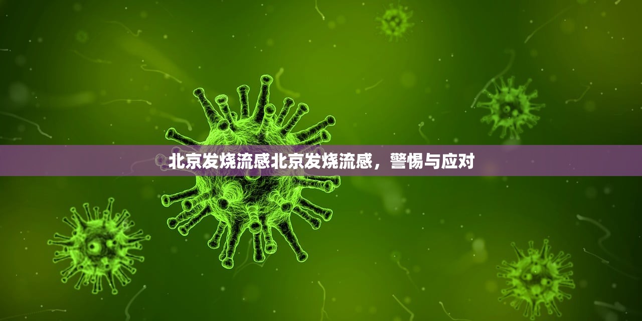 北京发烧流感北京发烧流感，警惕与应对  第1张